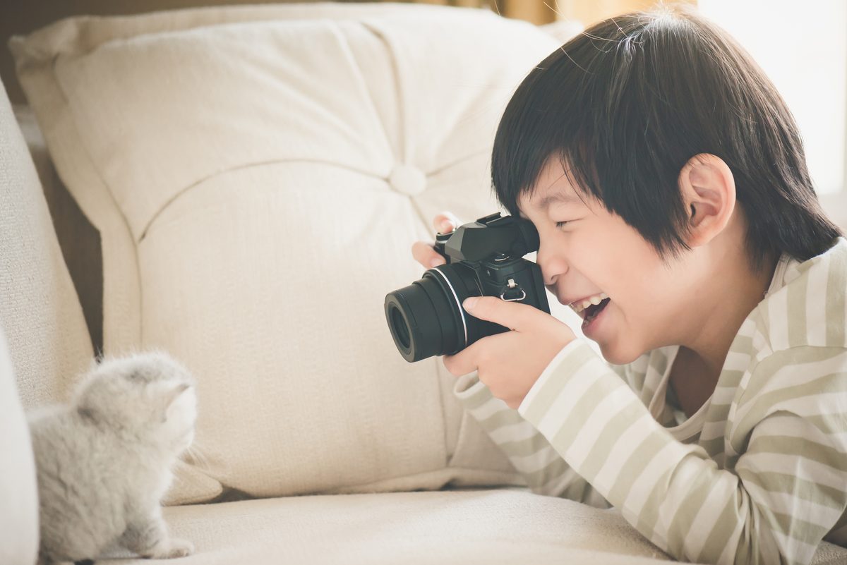 Book Nook Kits Are Trending—But Should Photographers Care?