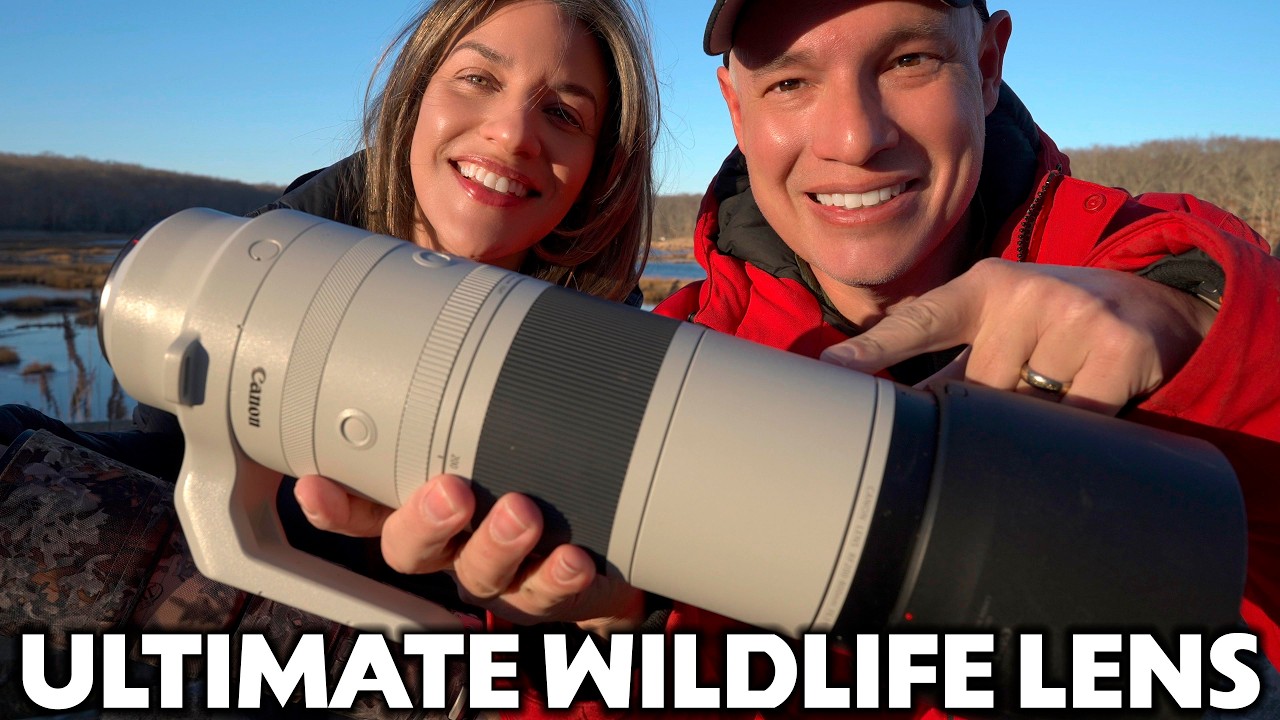 Canon 200-800mm vs. the Field: What Tony & Chelsea's Wildlife Lens Shootout Actually Proves