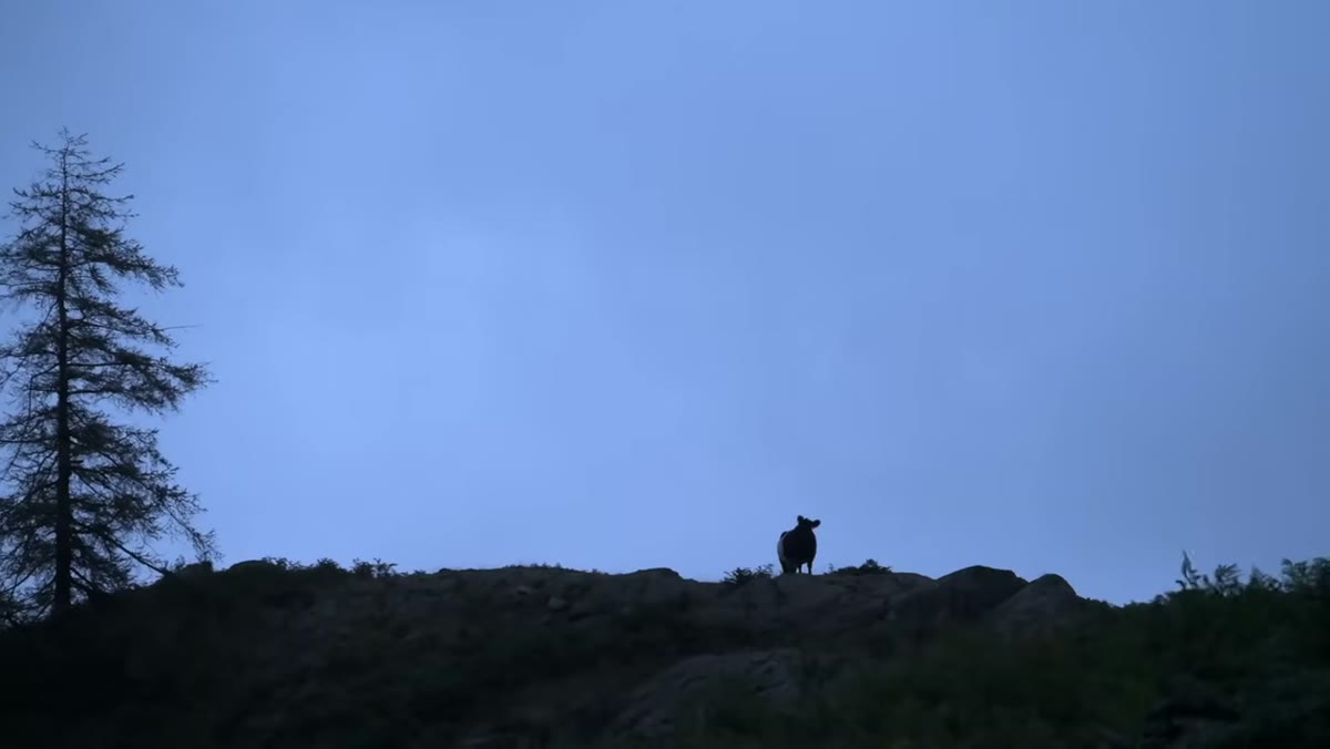 Nigel hiking uphill in low pre-dawn light