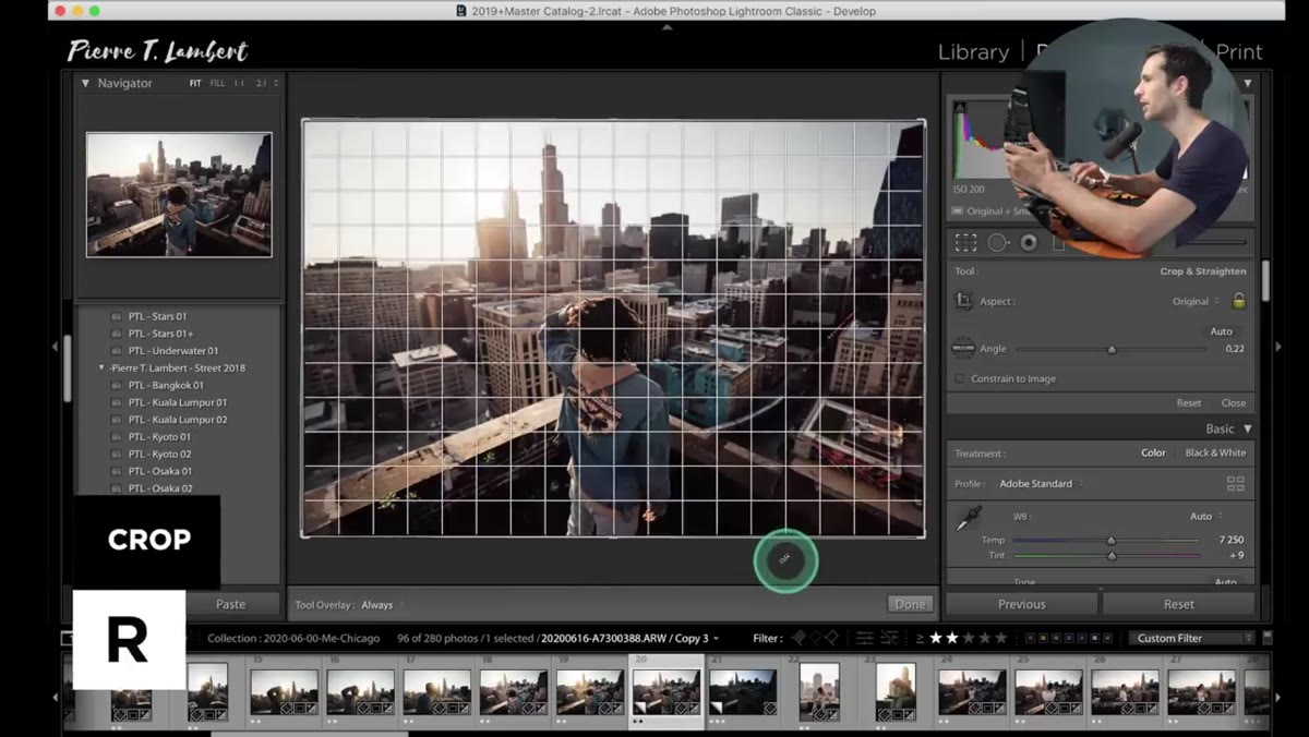Crop overlay active with composition guides visible