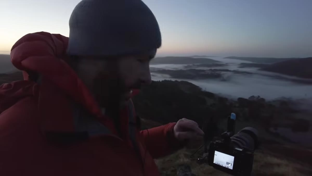 Camera viewfinder at 400mm isolating single tree in misty valley