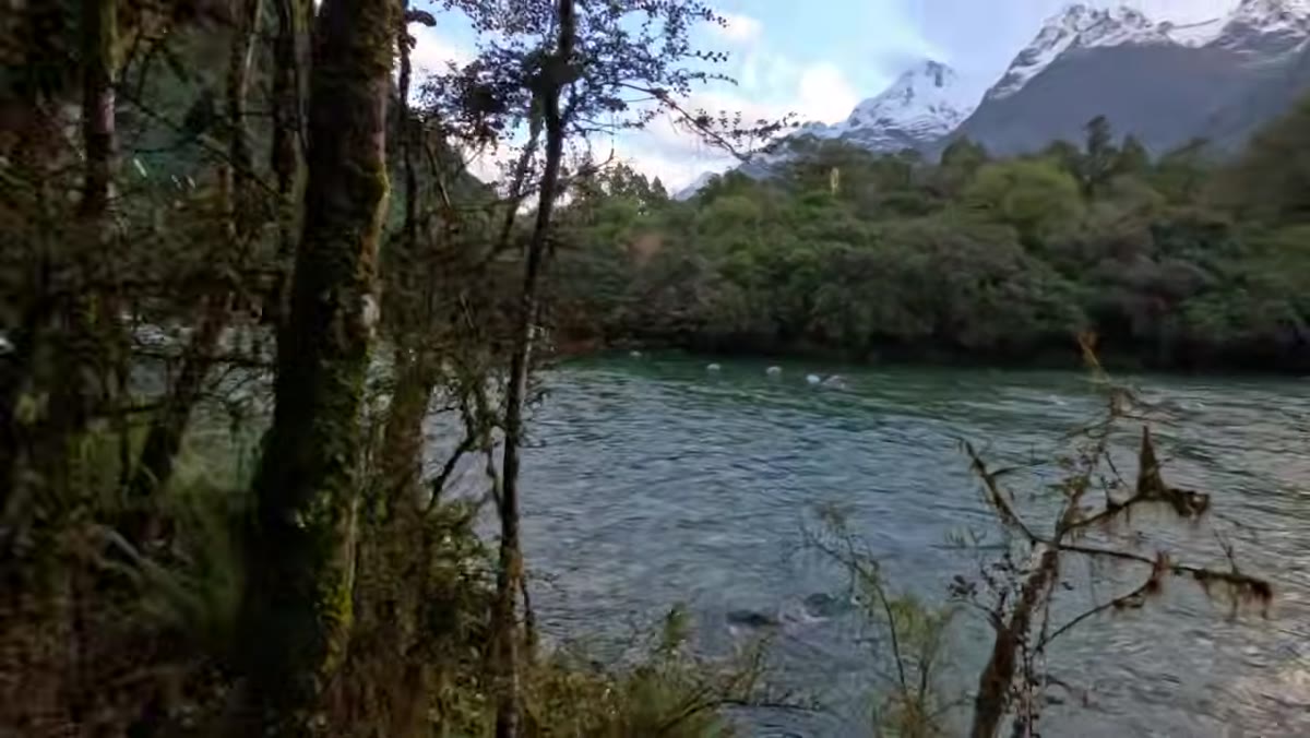 Photographer framing a shot with mountain peaks, river, and fern foreground