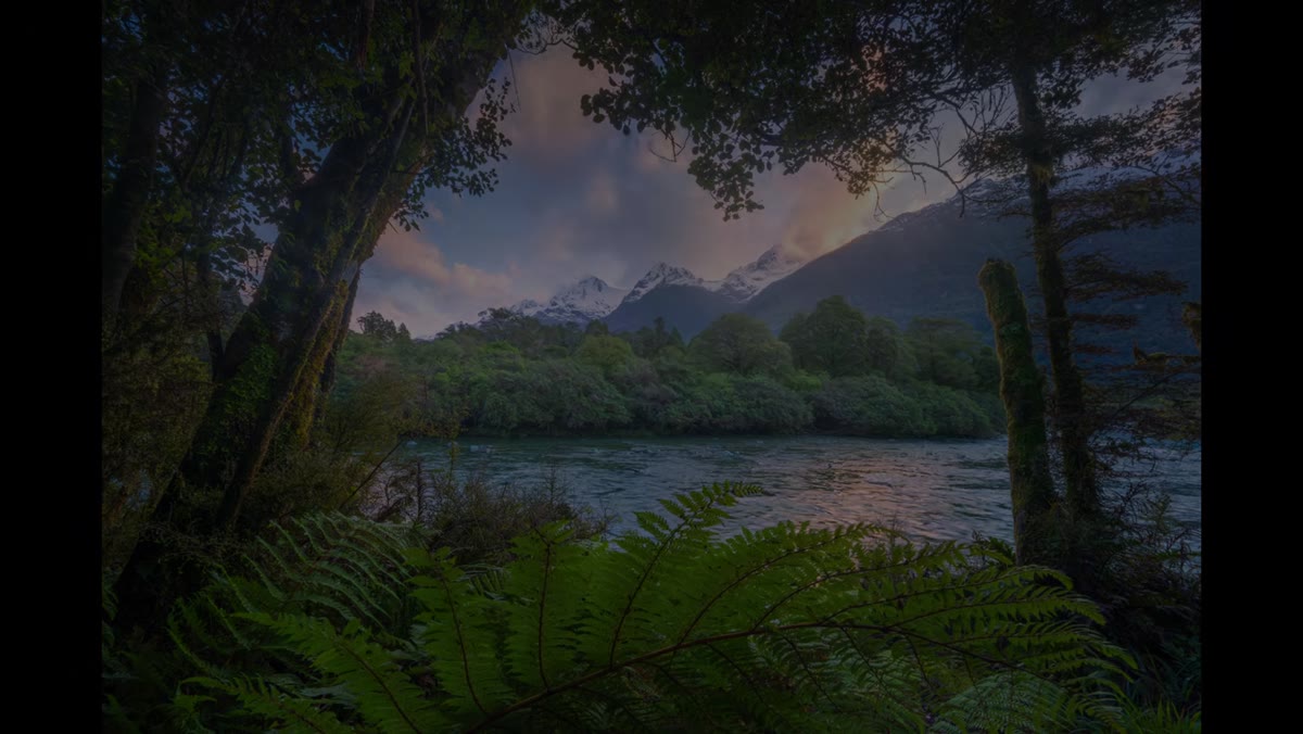 Camera positioned low near fern with river and mountains in background