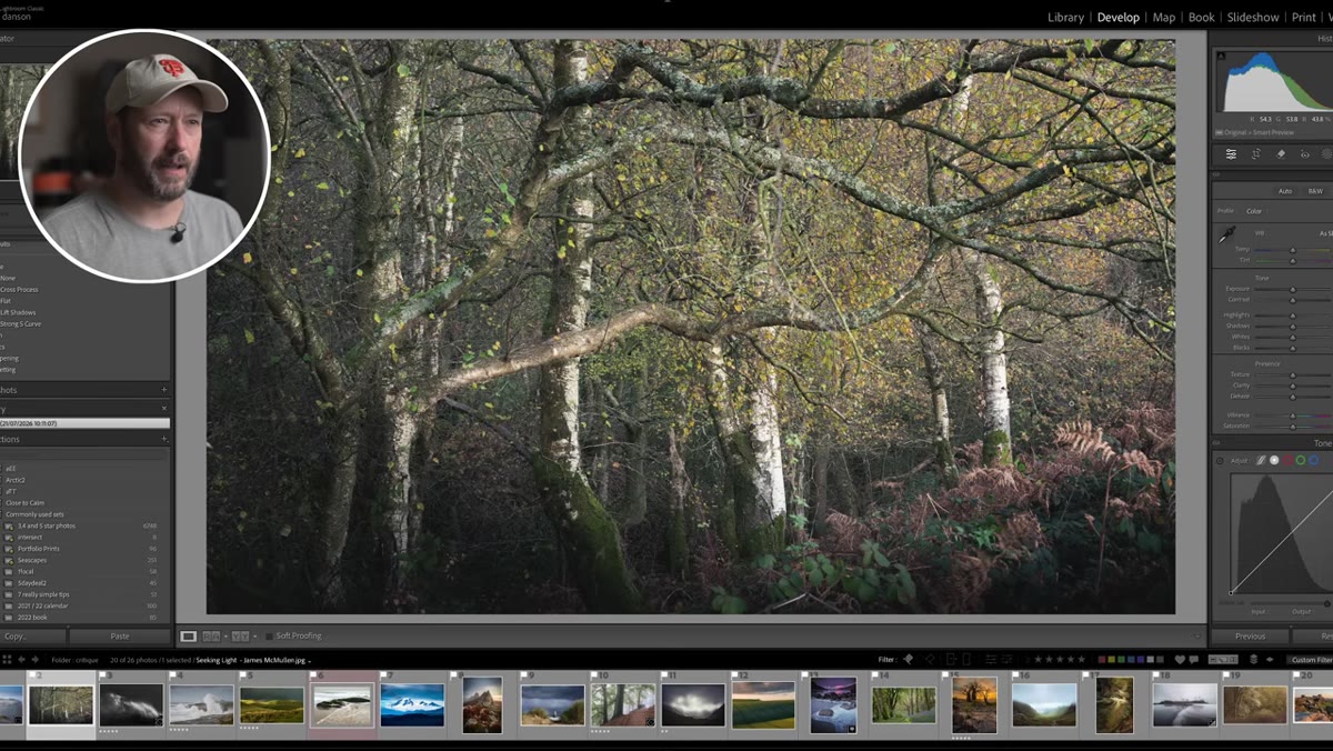 Birch tree photo with bottom-right corner cropped out in demo