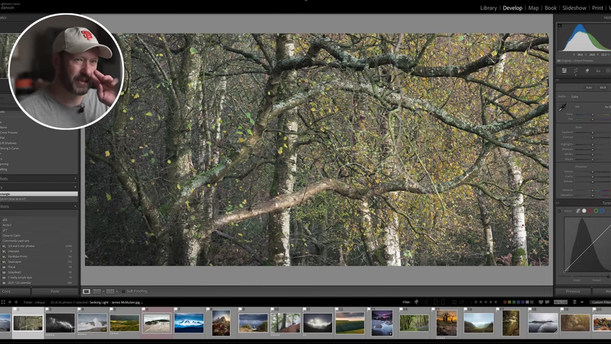 Second crop demo on birch photo to a tighter, cleaner frame