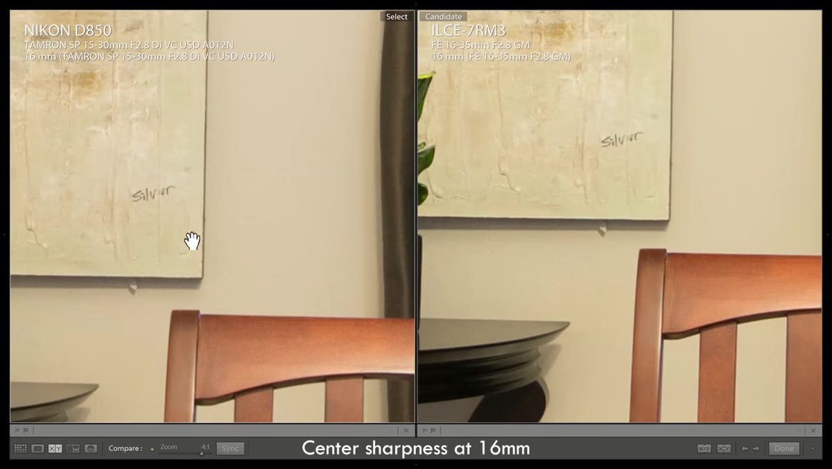 Side-by-side sharpness crops at 16mm, Sony vs Tamron