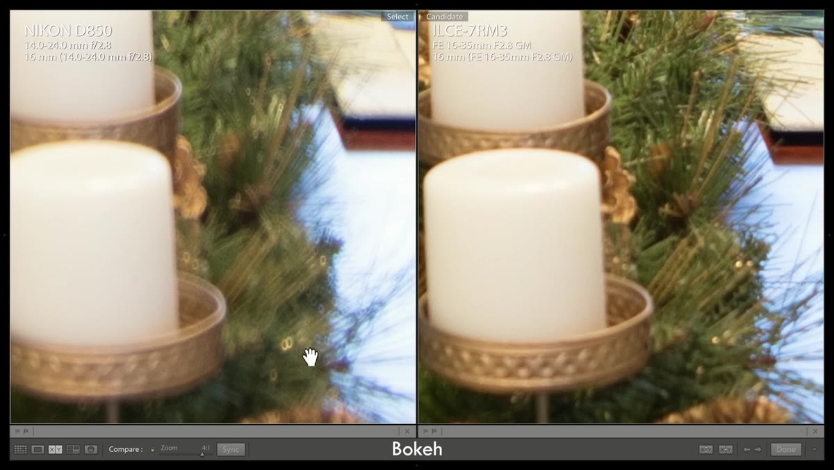 Bokeh comparison showing Nikon&rsquo;s harsh rings vs Sony&rsquo;s rendering