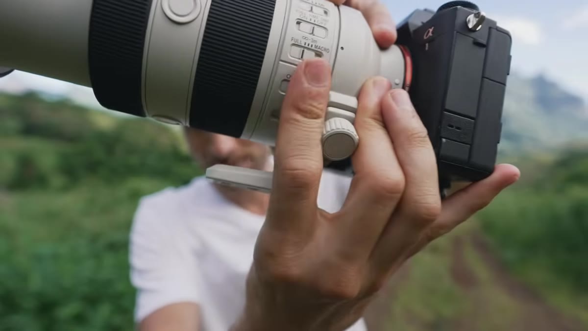 Shooting flowers and plants in macro mode at close distance