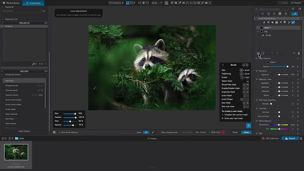 Soft brush brightening raccoon face on separate named layer