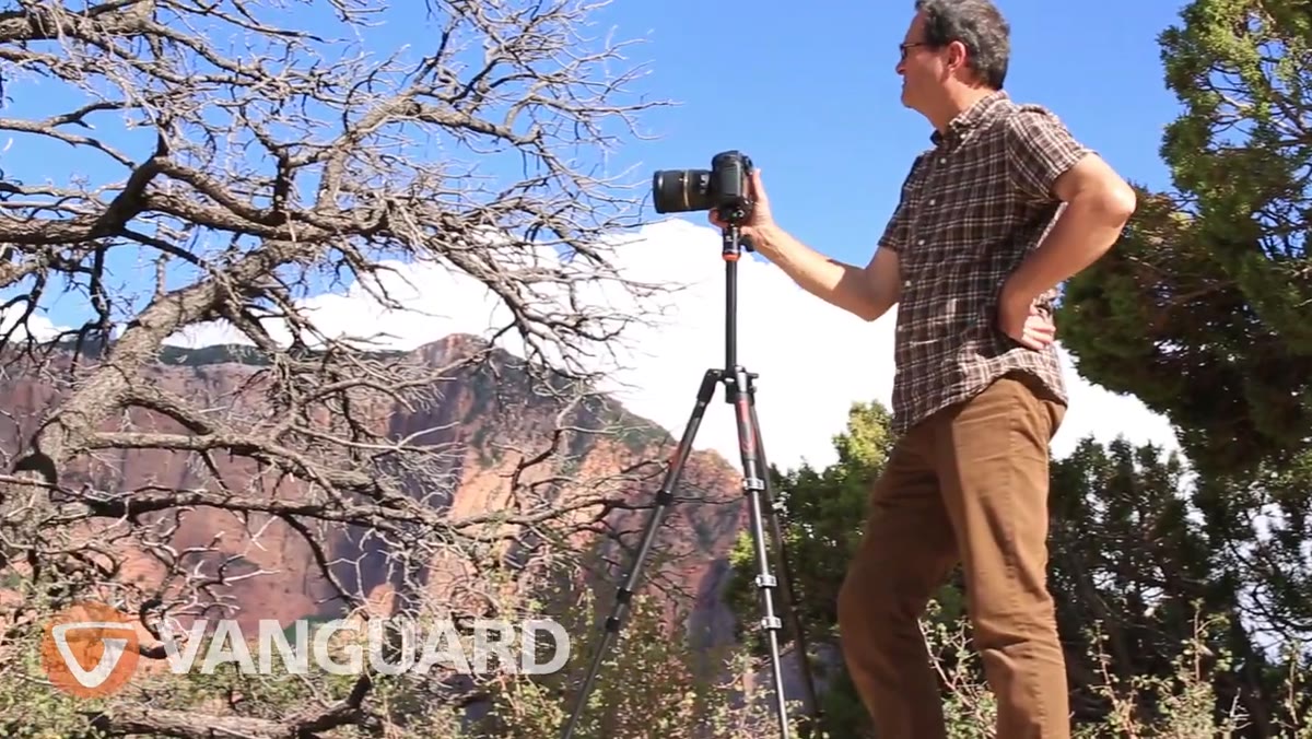 Camera with telephoto lens mounted on tripod head, fully loaded