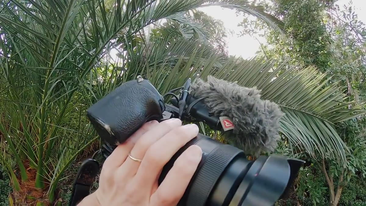 Shure VP83 microphone shown alongside camera body