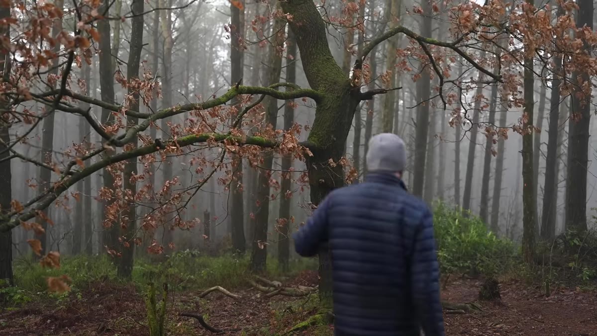 Danson composing a foggy tree scene, dialing between 24mm and 50mm