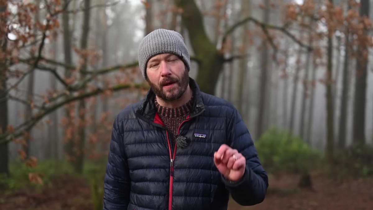 Danson acknowledging quality trade-offs while walking toward a foggy scene