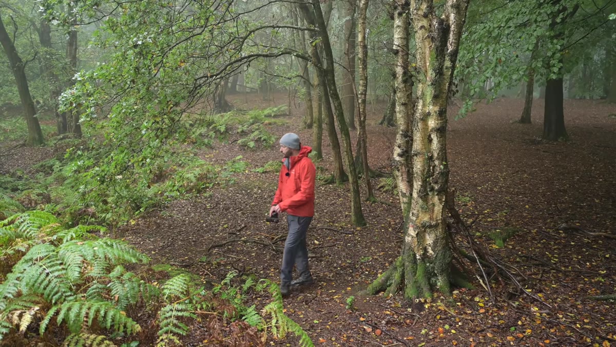 Danson framing silver birch trees at 28mm in misty rain