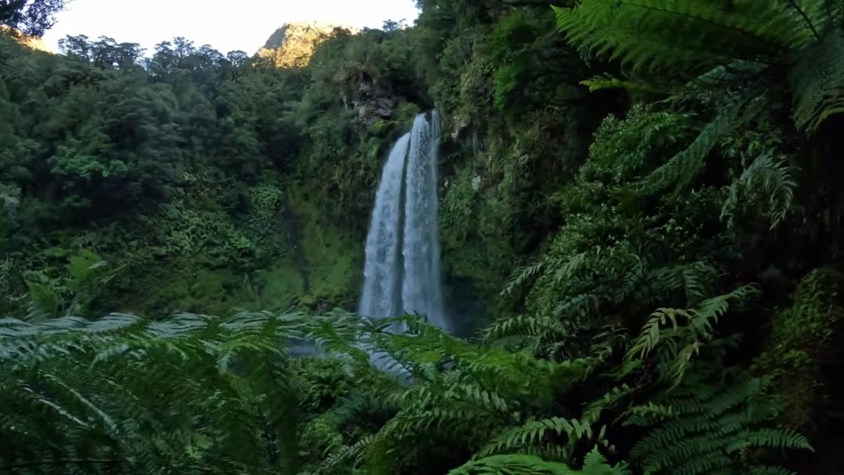 Patino showing the effect of standing too far from foreground