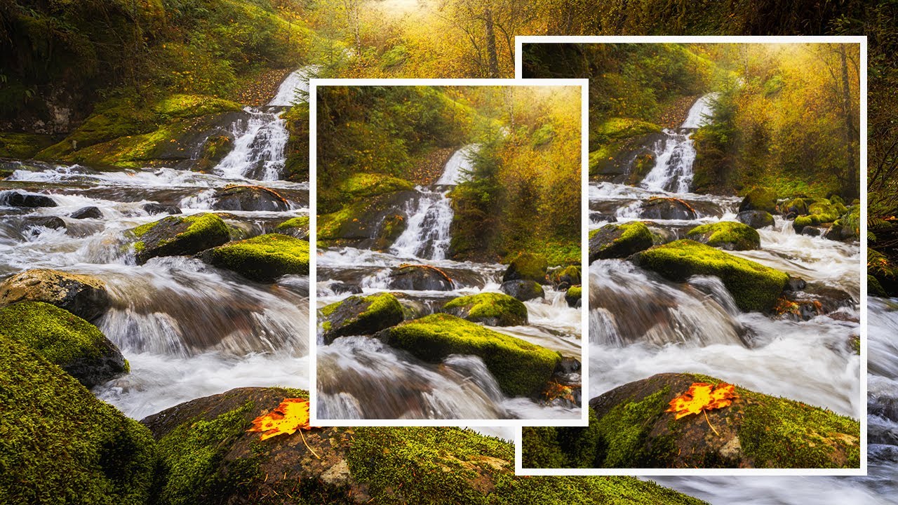 Two Lenses, Zero Regrets: What Mark Denney's Gear Purge Taught Me About Shooting Smarter