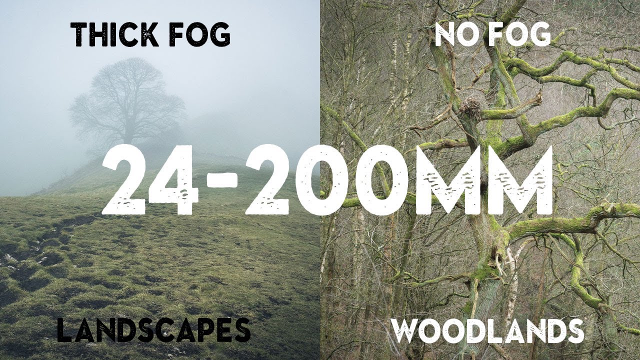 What a 24-200mm Lens in Heavy Fog Taught Me About Shooting With Less