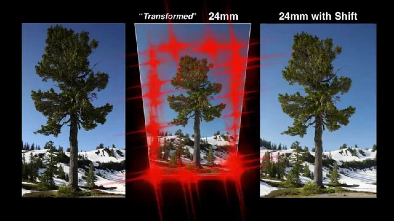 What a Tilt-Shift Lens Actually Does (And Why You Should Rent One Before You Buy)