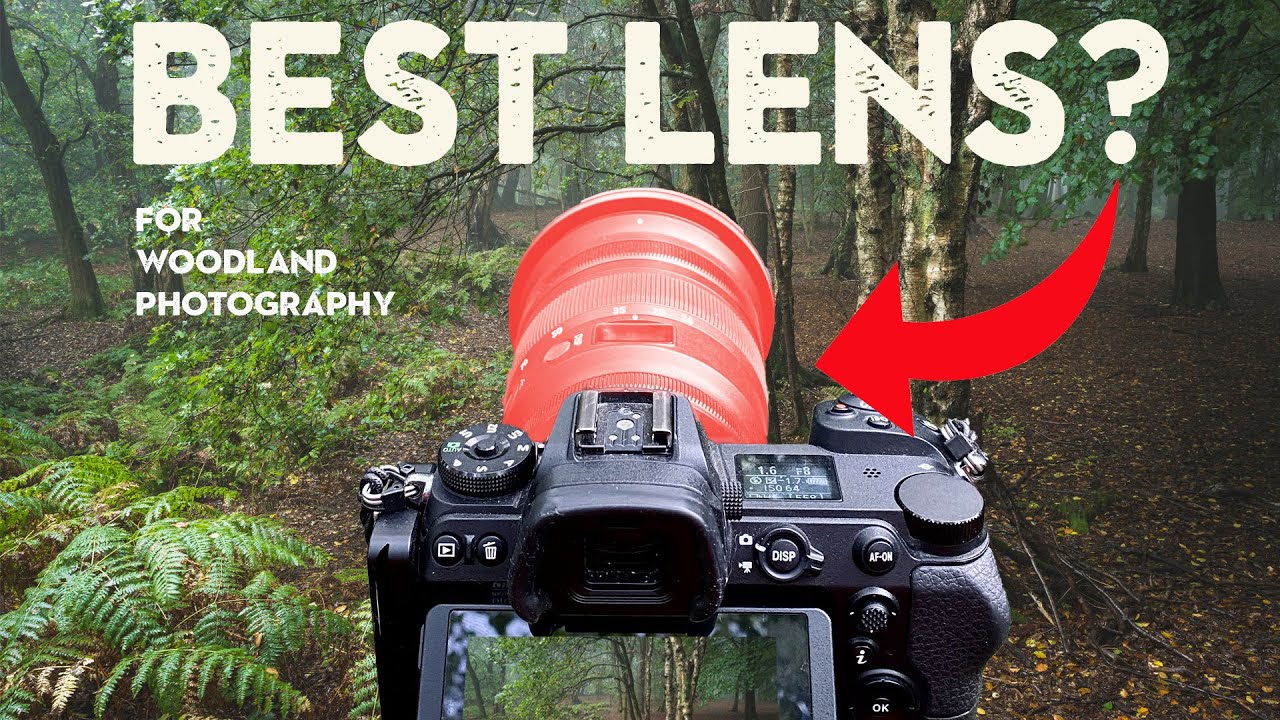 Why Photographers Who Shoot Woodland Keep Coming Back to the 24-70mm (And Why It's Not Hype)