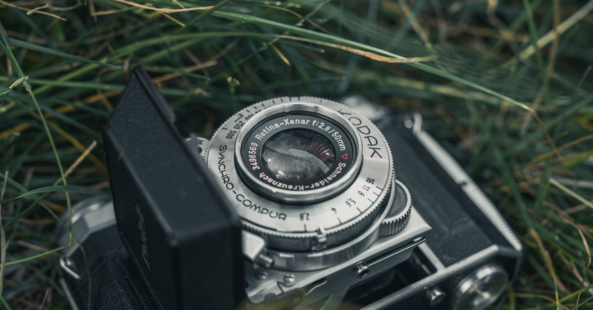 Why Your Next Camera's Memory Card Might Cost More Than Your Lens