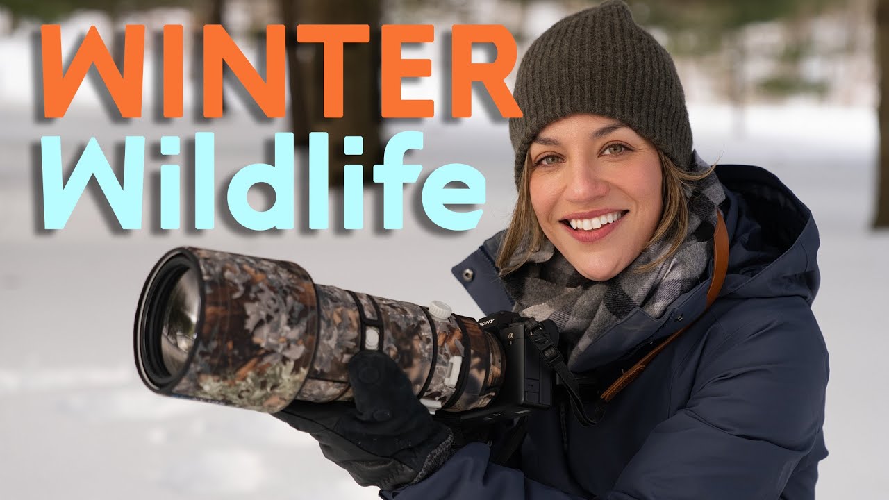 Winter Wildlife Photography: How to Keep Your Gear (and Yourself) Alive When It's Freezing Out
