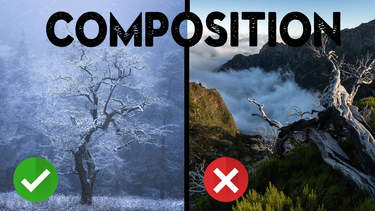 Your Photos Aren't Bad — Your Composition Awareness Is (Here's How to Fix It)